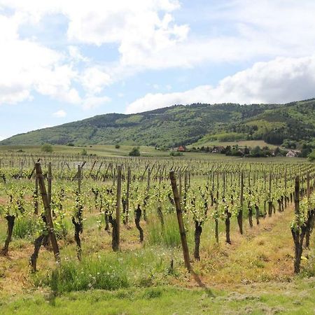 Gite L Ecrin - Coeur De Riquewihr - 4 Personnes Zewnętrze zdjęcie